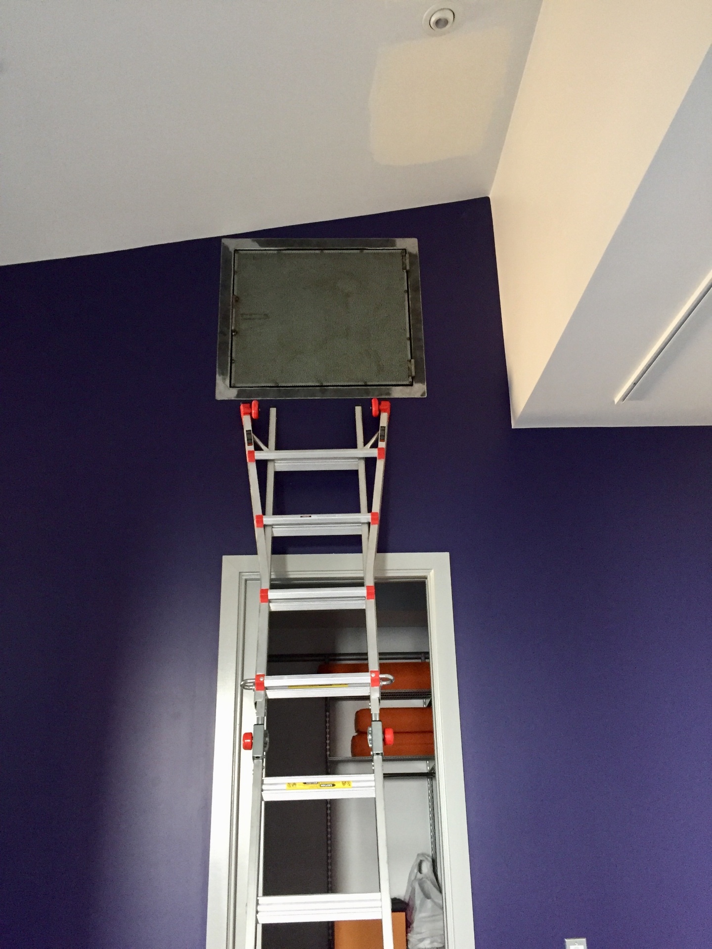 Custom Access Door